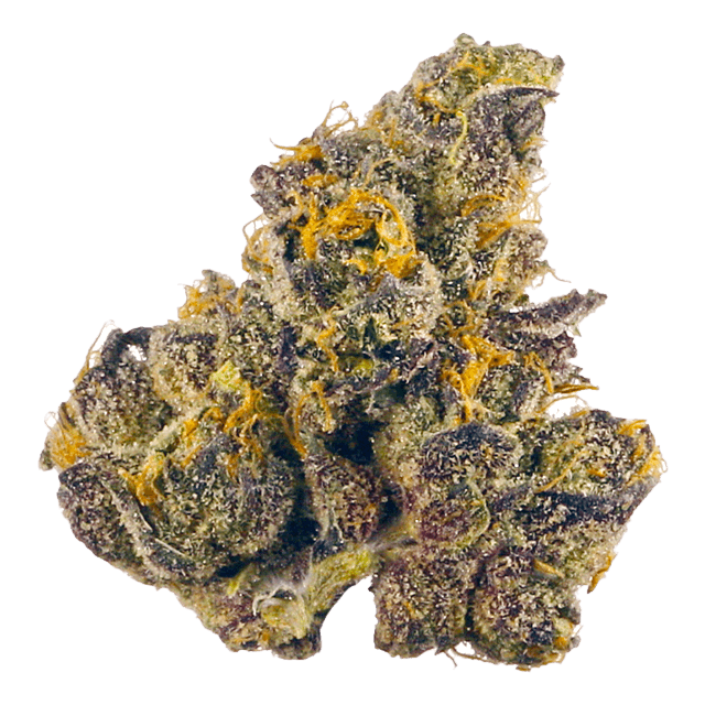 Orange Starburst | Bulk