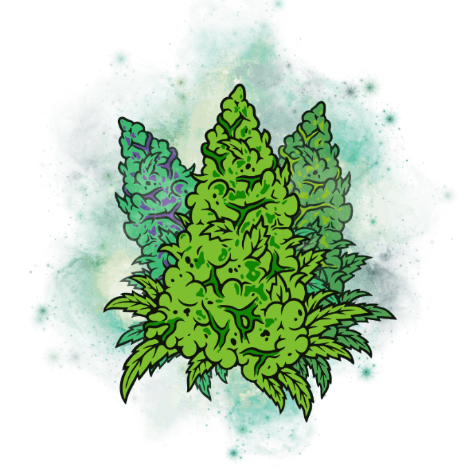 https://cannavate.nyc3.cdn.digitaloceanspaces.com/default.png https://cannavate.nyc3.cdn.digitaloceanspaces.com/default.png