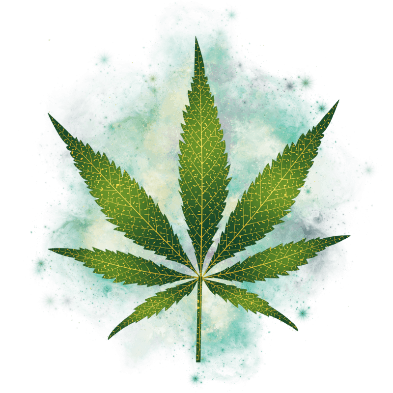 https://cannavate.nyc3.cdn.digitaloceanspaces.com/default.png https://cannavate.nyc3.cdn.digitaloceanspaces.com/default.png