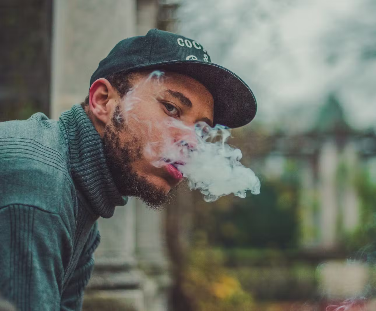 Understanding Cannabis: The Basics